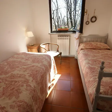 Mirtillo Fernarda Brisino